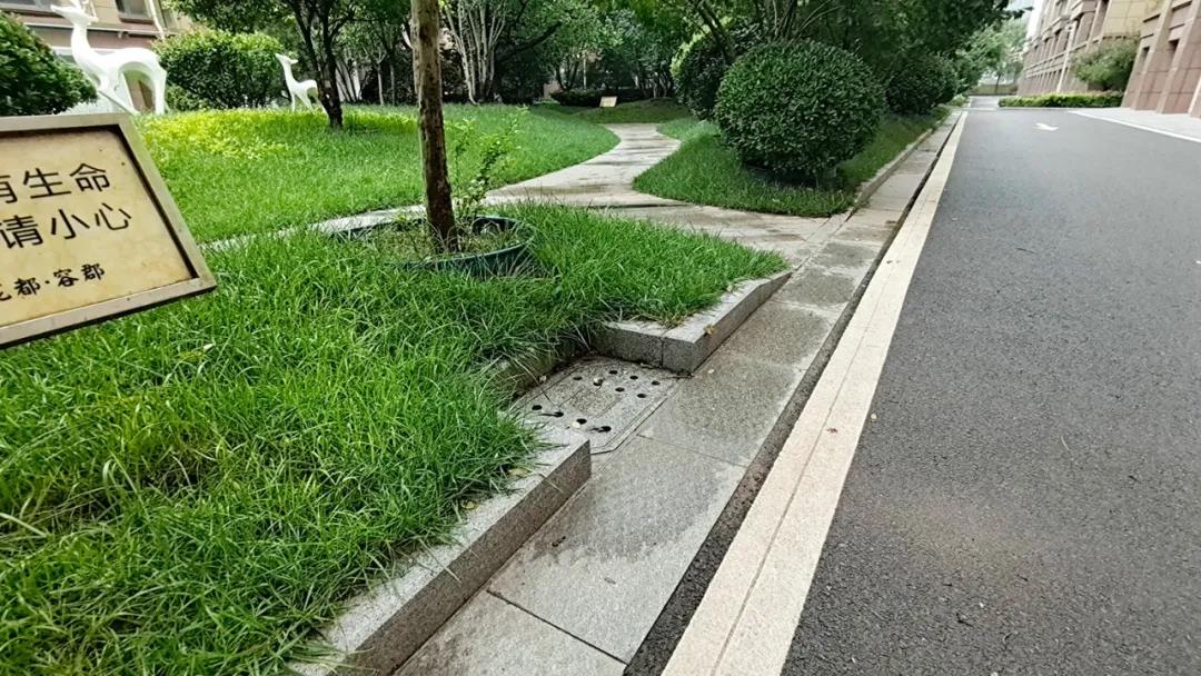 一场大雨考验了多少小区的排水能力快来看看龙都容郡