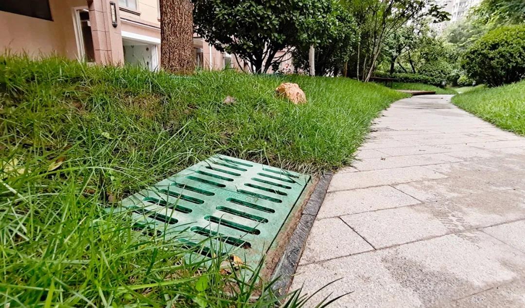 一场大雨考验了多少小区的排水能力快来看看龙都容郡