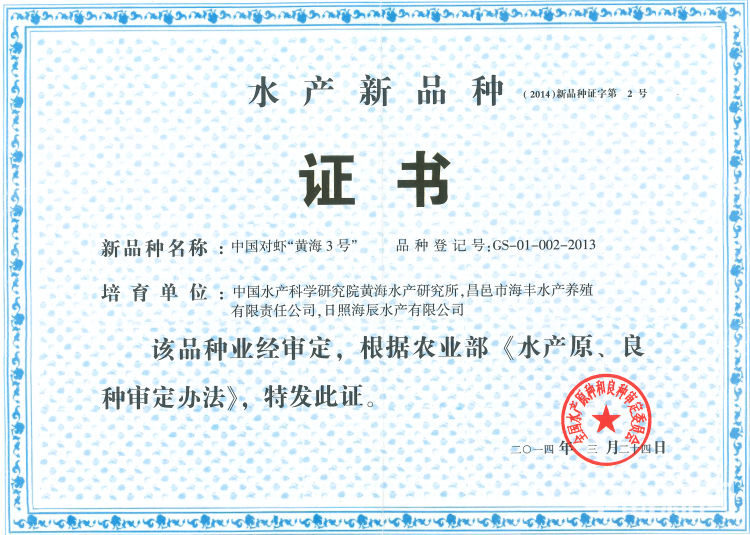 开海寻鲜记|海水养殖,青岛秘笈"惊动"农业农村部