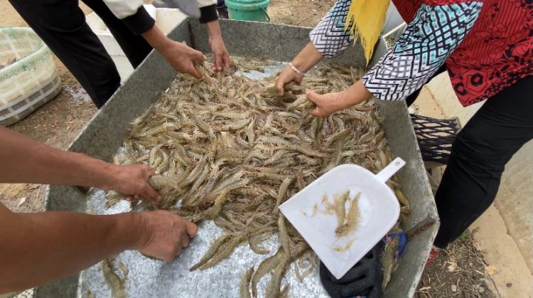 即墨养殖信息网站查询_即墨养殖场出租