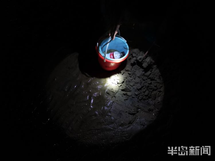 沙子口夜潮赶海收获假期的快乐