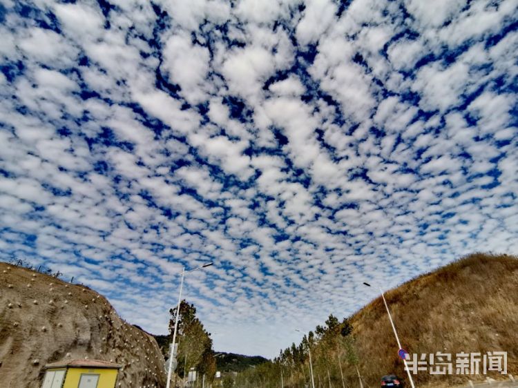青岛蔚蓝天空出现一片鱼鳞云吸引不少市民拍照