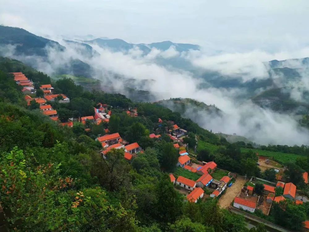 新华社聚焦临朐这个小山村