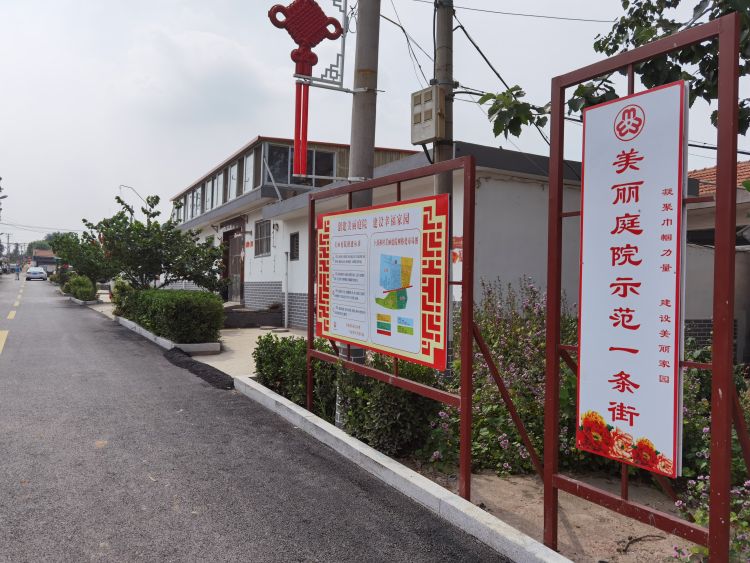 初冬季节,树叶开始泛黄,凋零,但走进胶州市胶莱街道古兰村,家家户户