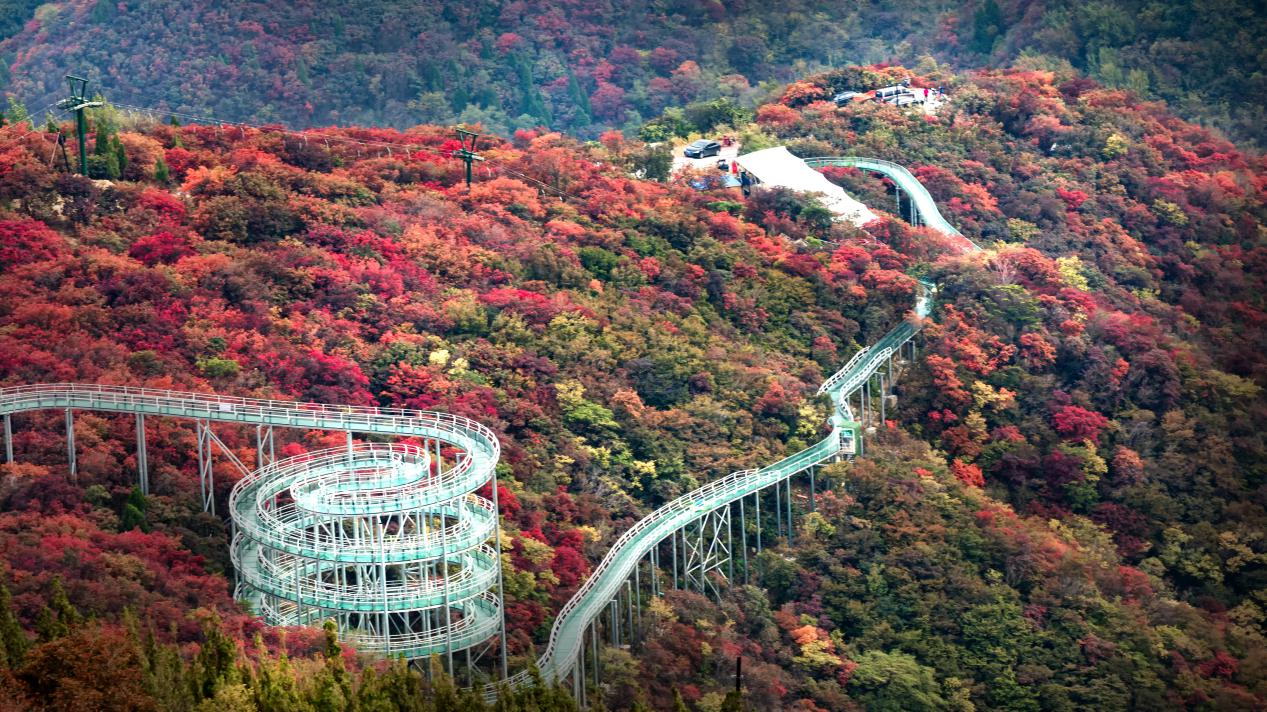 潍坊人别跑空!淄博鲁商•红叶柿岩旅游区玻璃水漂流11月13日正式停