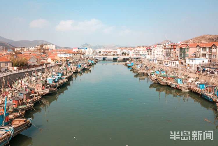 3月4日,崂山区沙子口桥附近的河道两岸,停靠的渔船排成阵列,与山坡上