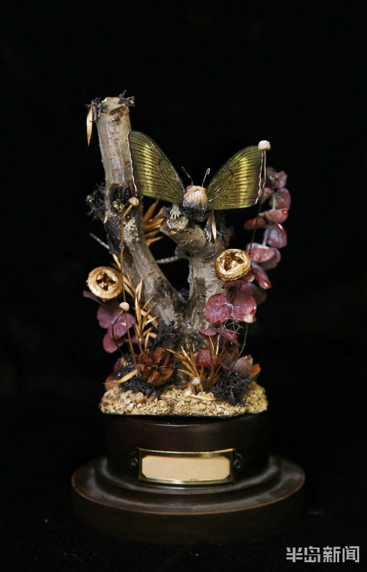 脑洞大开暗黑系一个00后怪女孩的创意标本世界