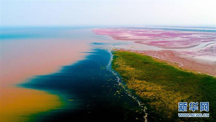 理上网来大河三角洲生态保护如何打造山东模式