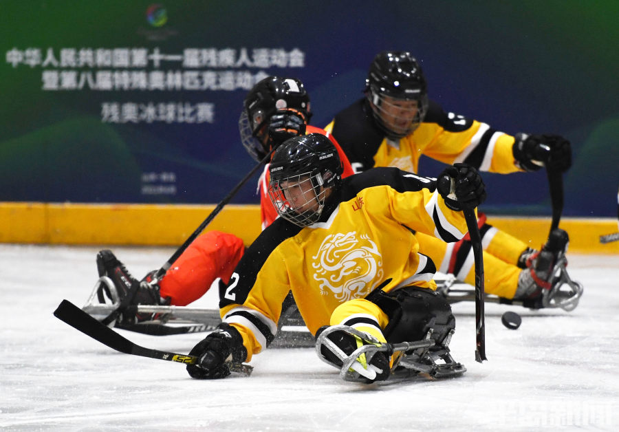 全国残运会冰球比赛在青开赛山东队111赢得首场胜利