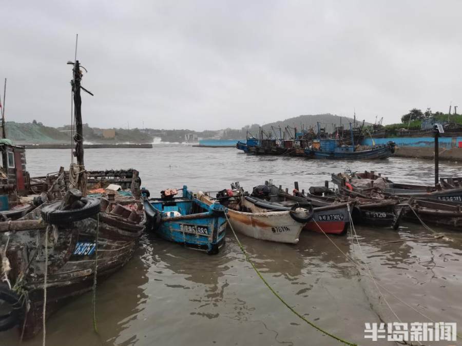 沙子口南姜码头渔船卧港避浪