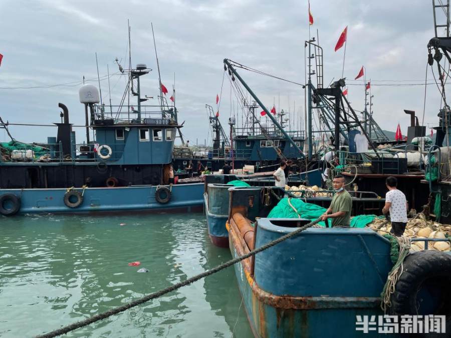 开海青岛积米崖码头船只排队奔赴大海