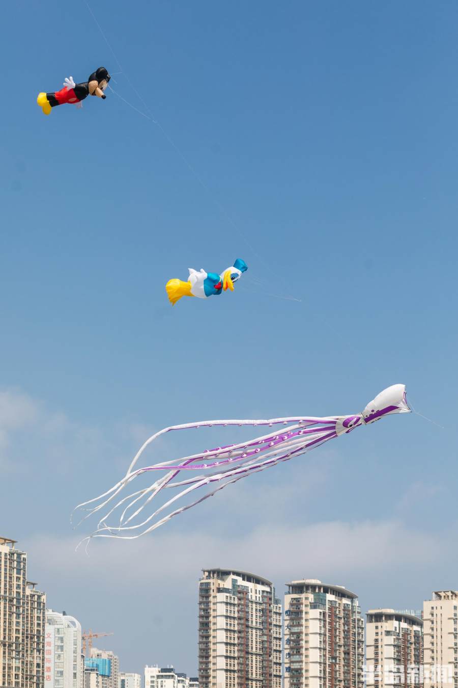 唐岛湾海滨萌物飞上天各种软体风筝引人注目