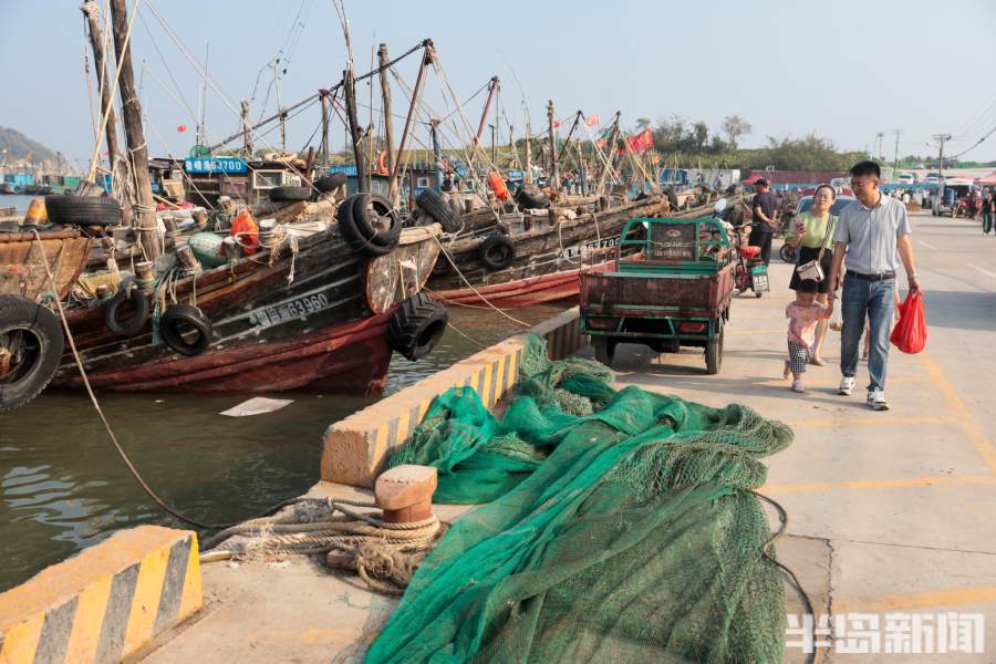 青岛渔船避风未出海节日码头货少客稀