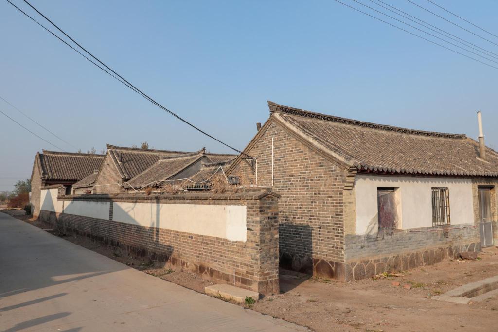 古树寻访记④丨莱西市姜山镇西三都河村六百年古树二百年老宅点亮乡村