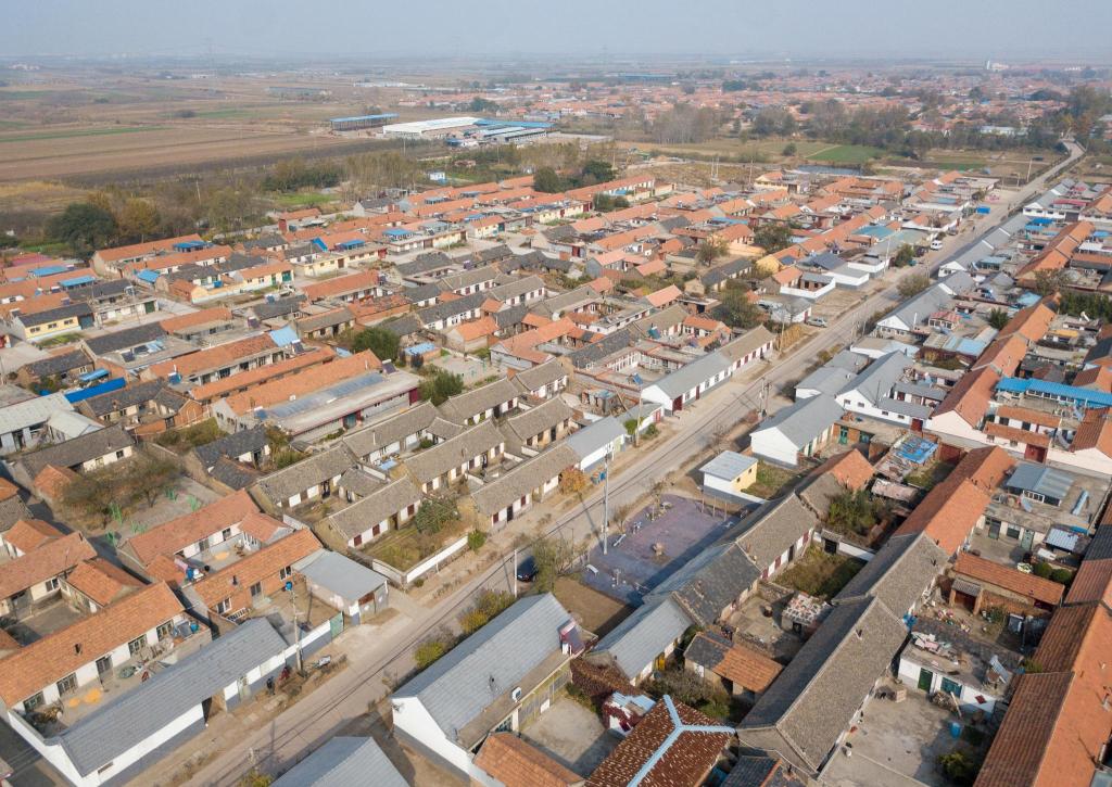 古树寻访记④丨莱西市姜山镇西三都河村六百年古树二百年老宅点亮乡村