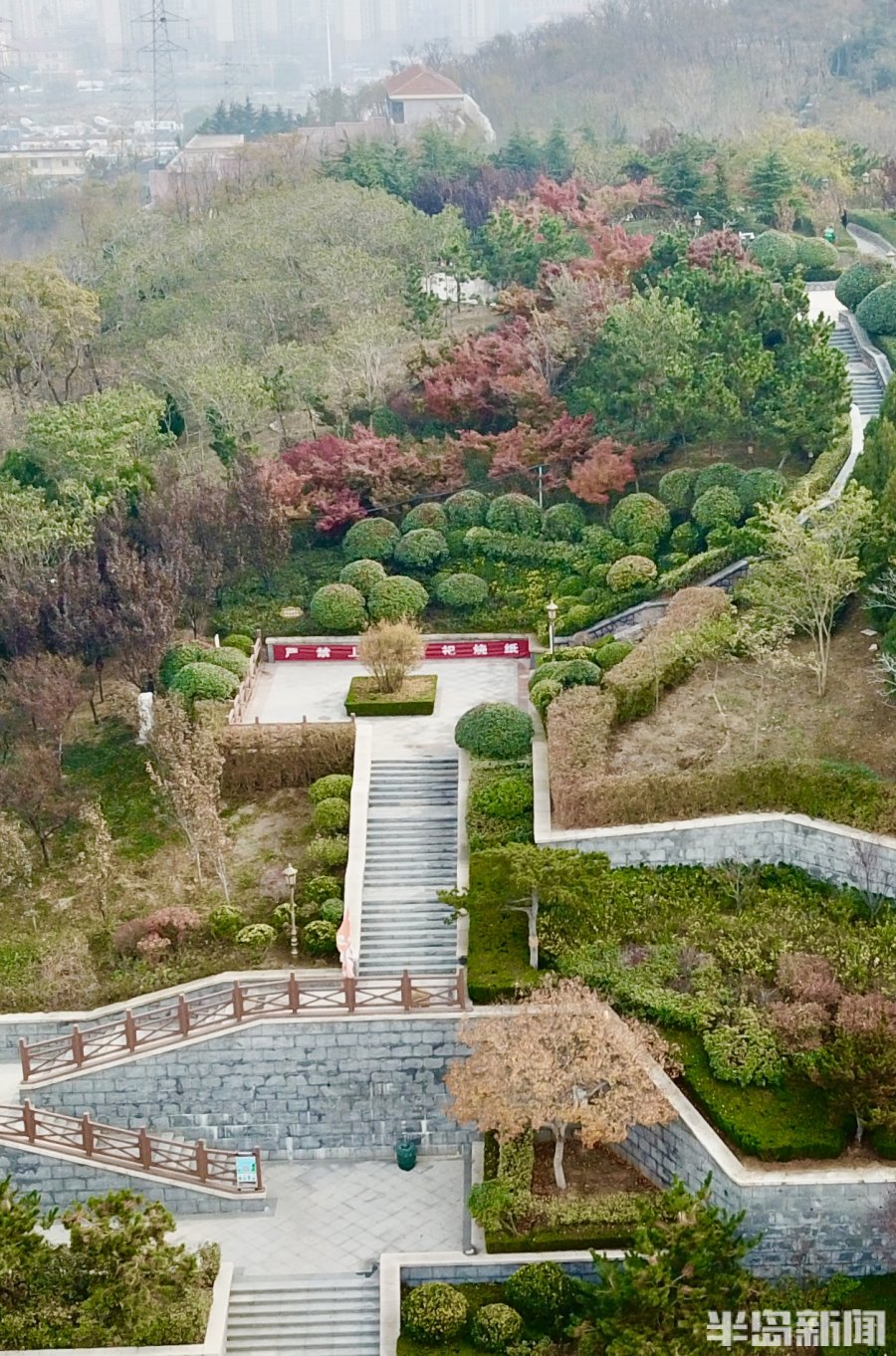 层林尽染五彩斑斓楼山公园美不胜收