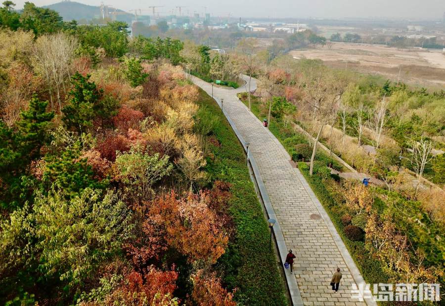 层林尽染五彩斑斓楼山公园美不胜收