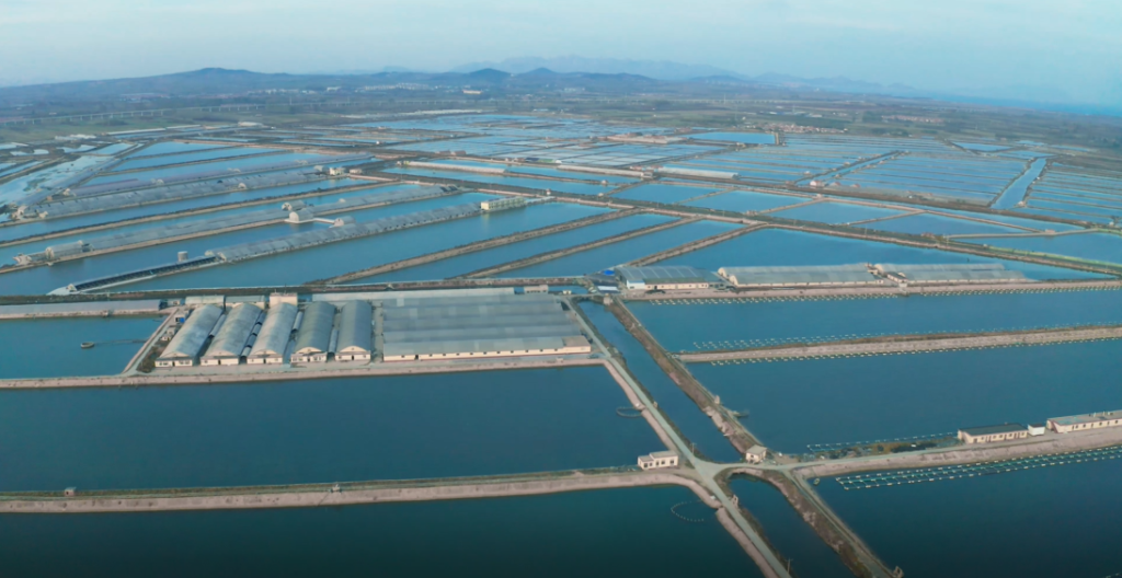 近日,农业农村部渔业渔政管理局公布2021年中国水产种业育繁推一体化