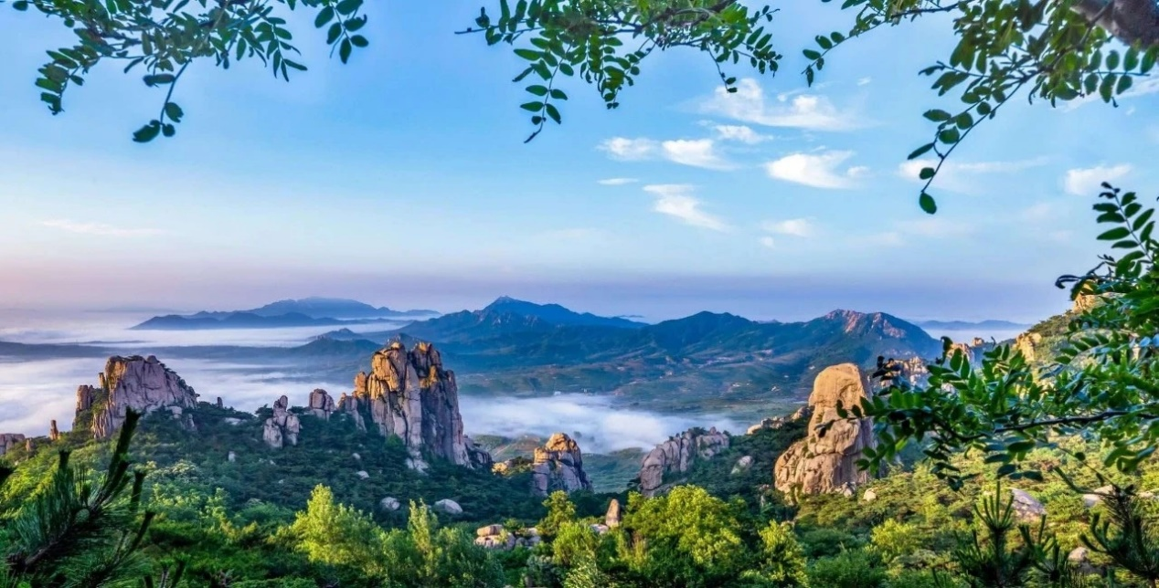 武五互通汉莲相融五莲开放招引求实效