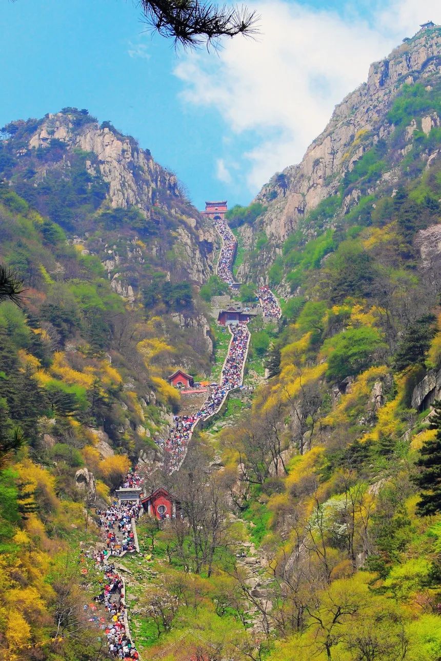 寻美中国心中有光眼中有美在烟火气中感受大美山东