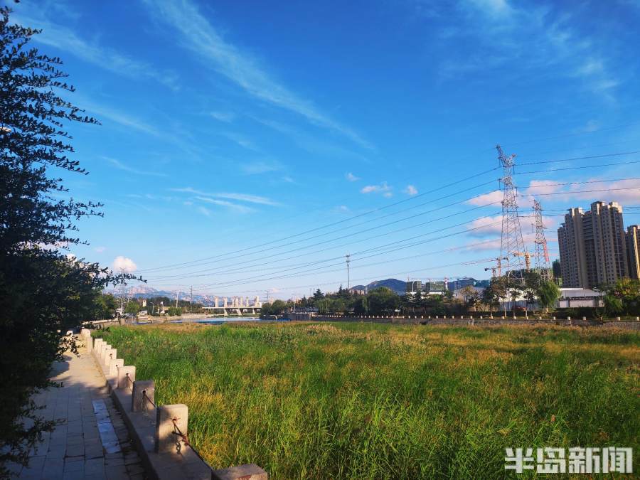 青岛水务张村河水质净化厂通水4周年实现河道补水4692万吨