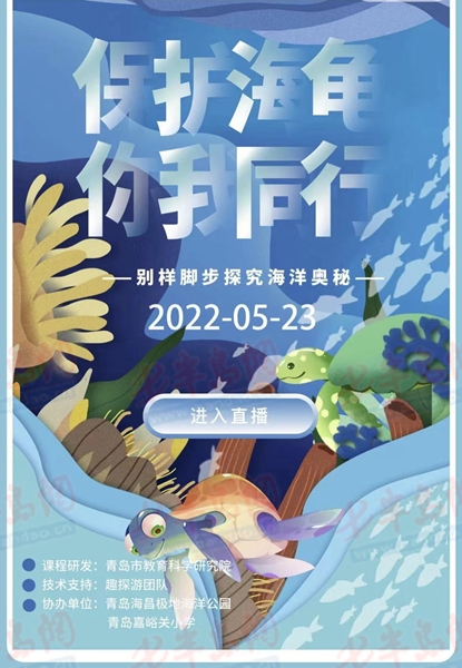 主题班会……青岛嘉峪关学校举行"保护海龟 你我同行"世界海龟日主题