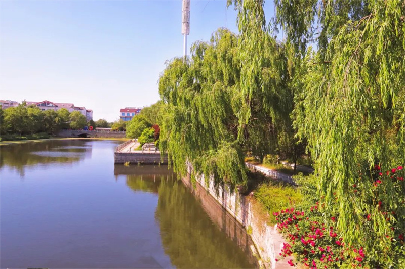 诸城市辛兴镇环保治理有成效这边风景独好