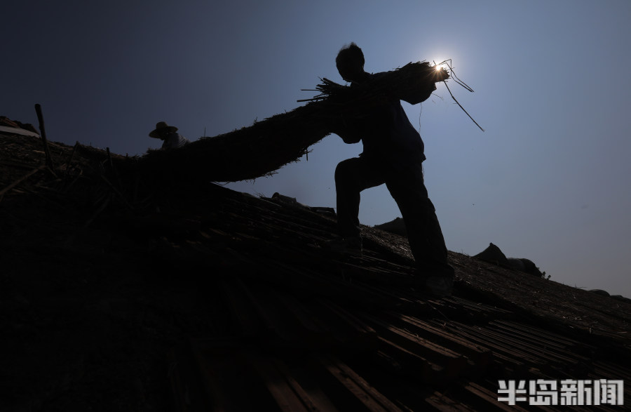 青岛即墨:烈日下的倒瓦大队-半岛网