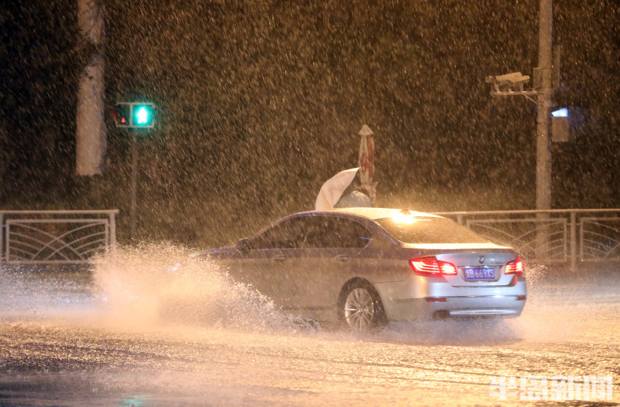梅花逼近暴雨倾盆