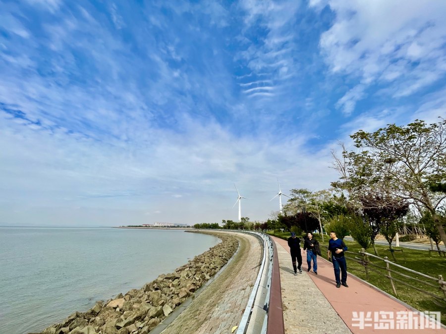 环跑白泥地,游憩两相宜!李沧在全市首创移栽6600余株乔灌木,打造“绿道+”秀美风景-半岛网