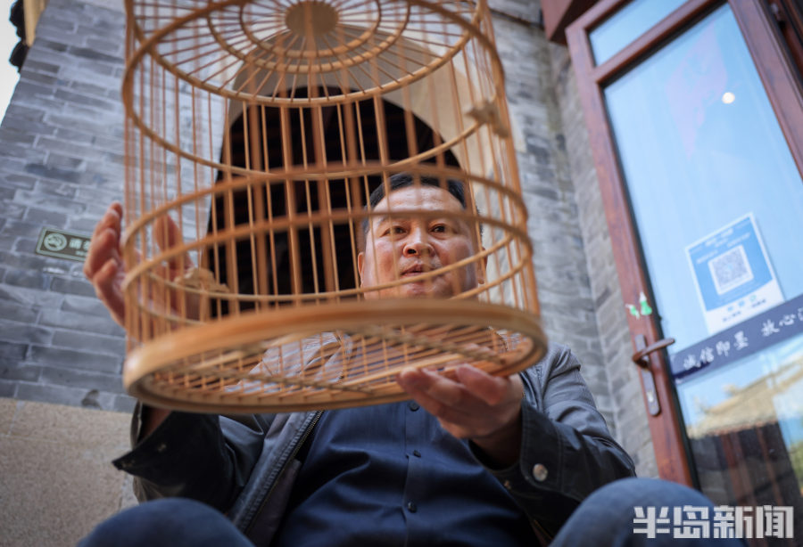 大欧鸟笼寻变记