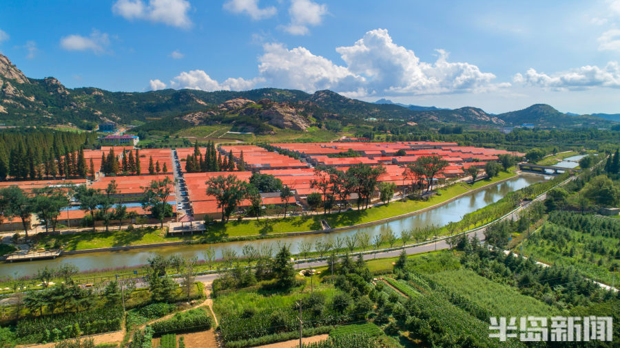 新征程|即墨鳌山卫街道:"红色引擎"引领城市更新迈向快车道-半岛网