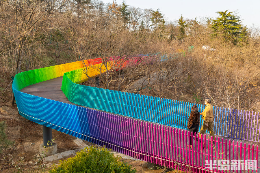 榉林公园彩虹木栈道惊艳亮相-半岛网