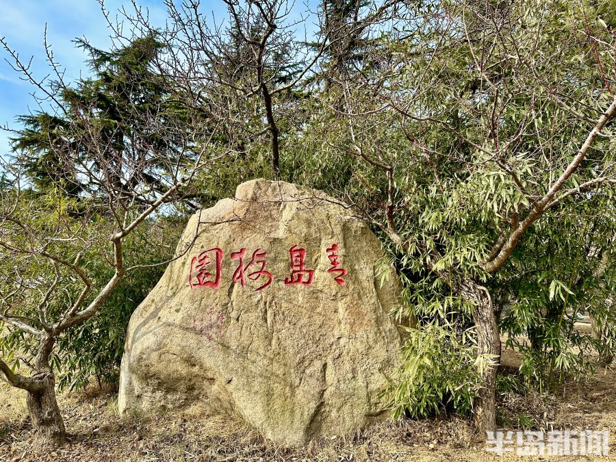 春风梅吐艳!2023青岛十梅庵梅花节3月15日开幕