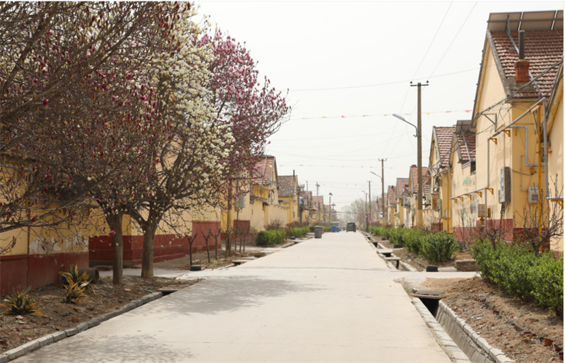 诸城市相州镇紧抓春季好时光推动乡村环境向美而行