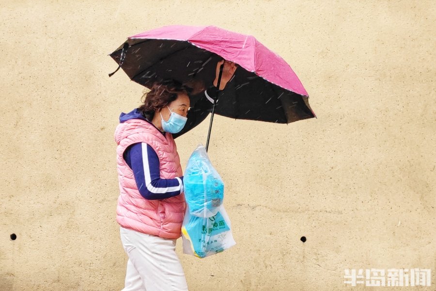 风雨行路人-半岛网