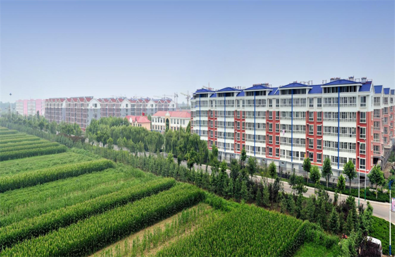 喜报诸城市辛兴镇荣获山东省县域次中心试点