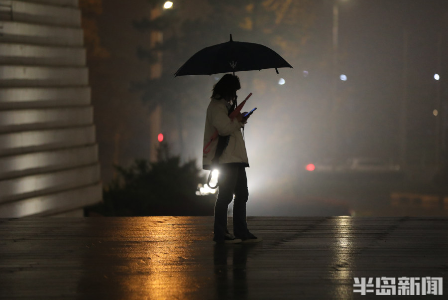 夜雨随风来-半岛网