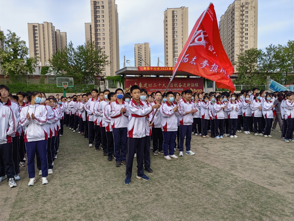 青岛17中校徽图片