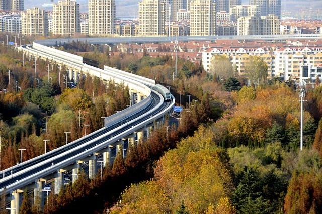 6号线、8号线……青岛地铁三期线路将于2026年至2028年陆续通车，年内将有这些新进展-半岛网