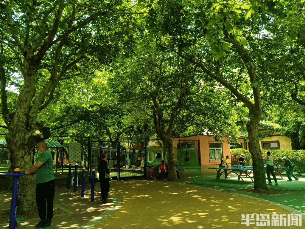 休闲,遛娃,健身……贮水山儿童公园其乐融融