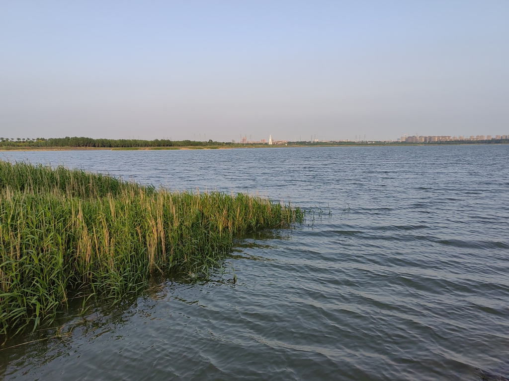 平度大沽河风景区图片