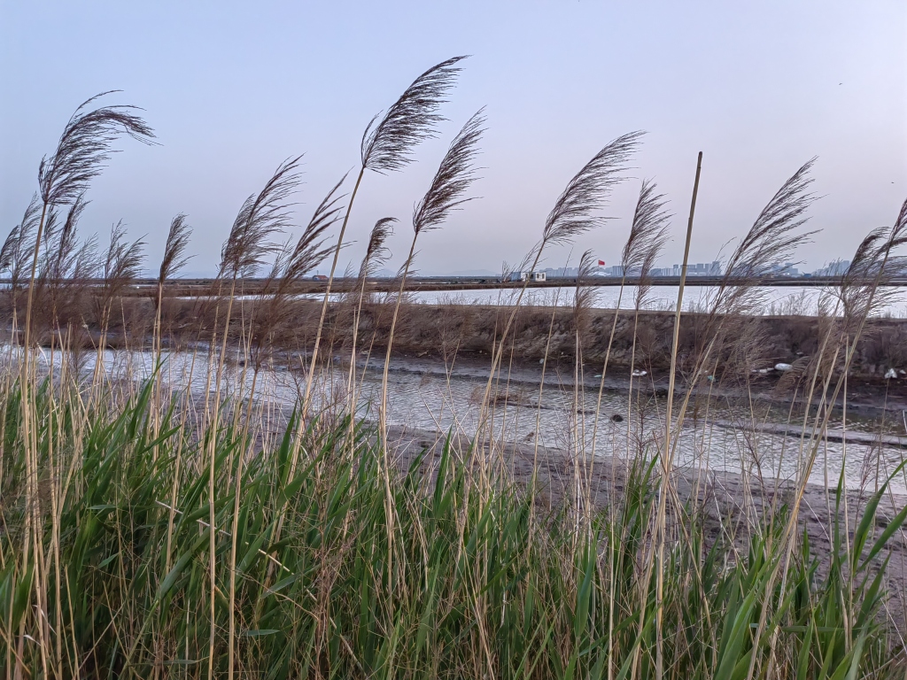 大沽河源头首次立碑已满月乾成书院用文化赋能乡村振兴