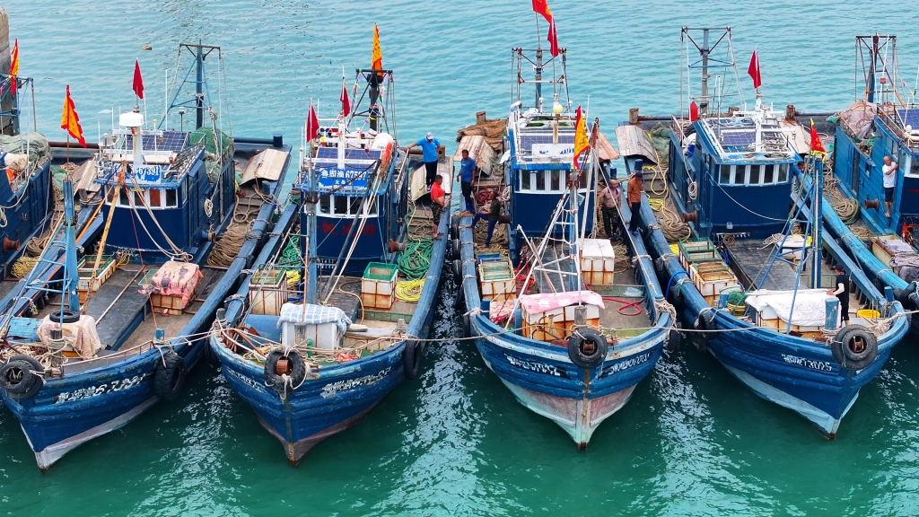 黄渤海休渔期结束即墨山东头300条渔船起航出海