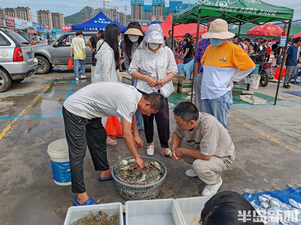 青岛码头海鲜市场图片