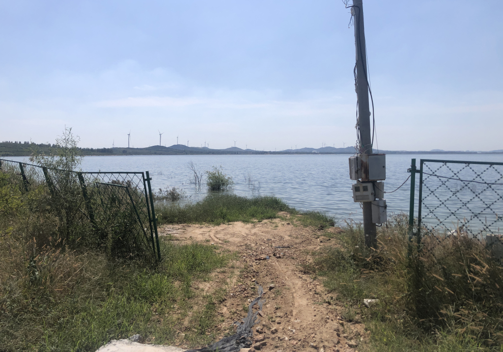 平度尹府水库现死鱼?