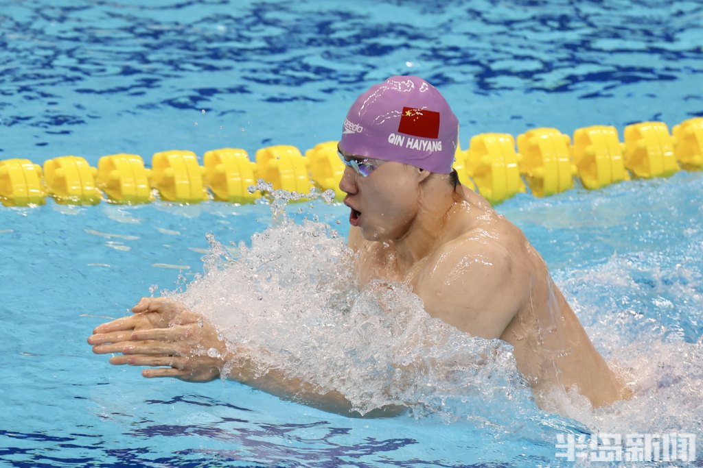 聚焦亚运会中国游泳队金牌丰收
