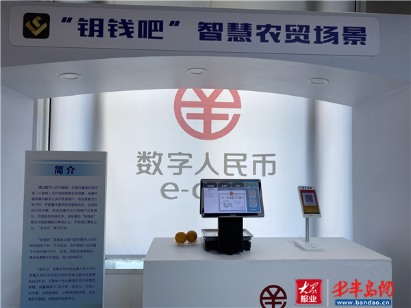 信息化带来大变化丨解锁数字人民币应用场景 点亮智慧新生活-半岛网
