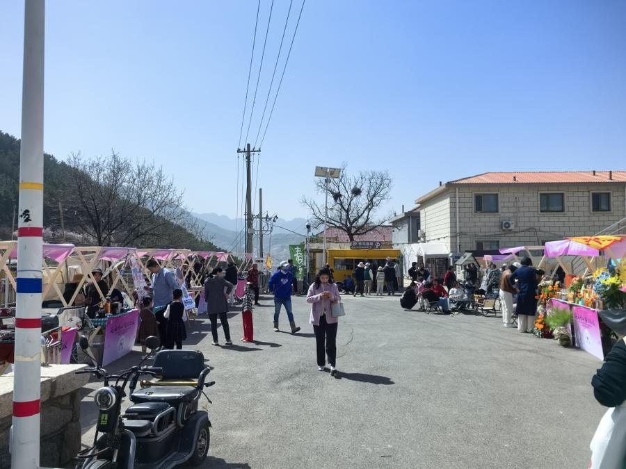 今年,北宅街道与崂山区慈善总会,青岛姜岐中华蜜蜂养殖研究院合作,将