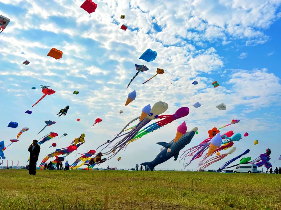 潍坊风筝会警犬小柯警在岗!
